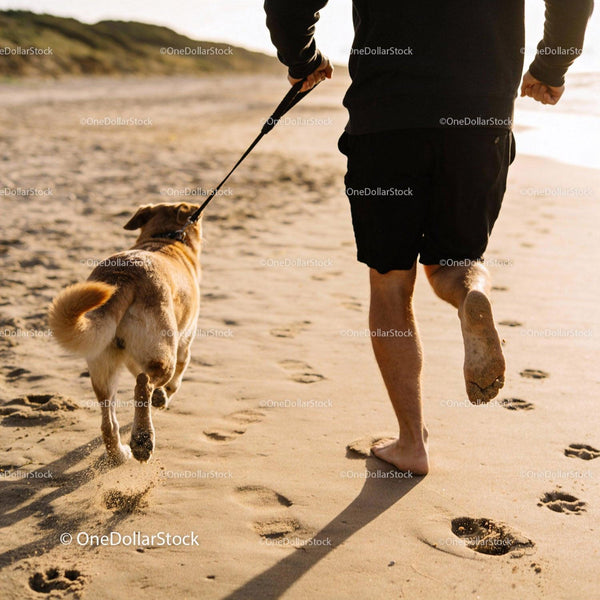Mężczyzna Biega Barefoot z Psem na Plaży o Zmierzchu