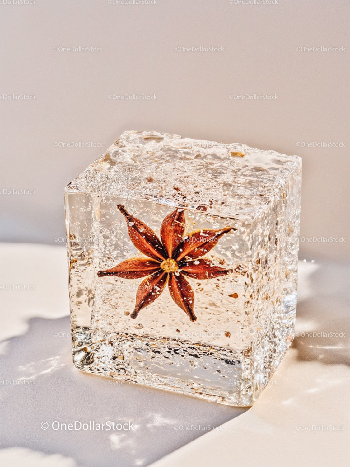 Star Anise Encased in Clear Frozen Ice Cube