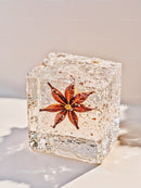 Star Anise Encased in Clear Frozen Ice Cube