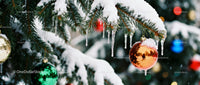 Snow-covered pine branch with colorful Christmas ornaments
