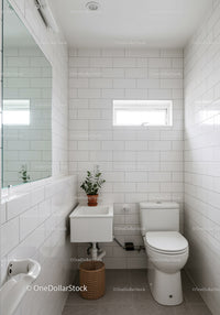 Modern White Tiled Bathroom with Natural Light and Green Plant