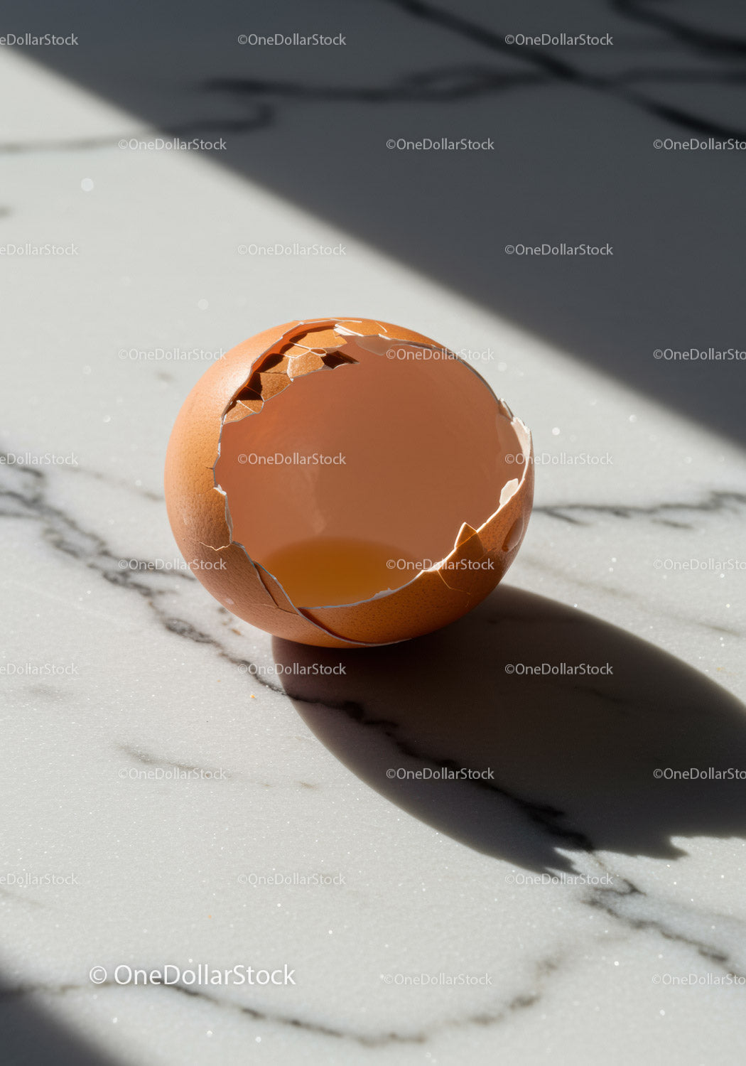 Cracked brown egg shell on marble surface with shadow