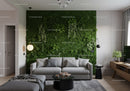 Modern Living Room with Green Plant Wall and Cozy Sofa