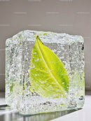 Fresh green leaf frozen inside a clear ice cube