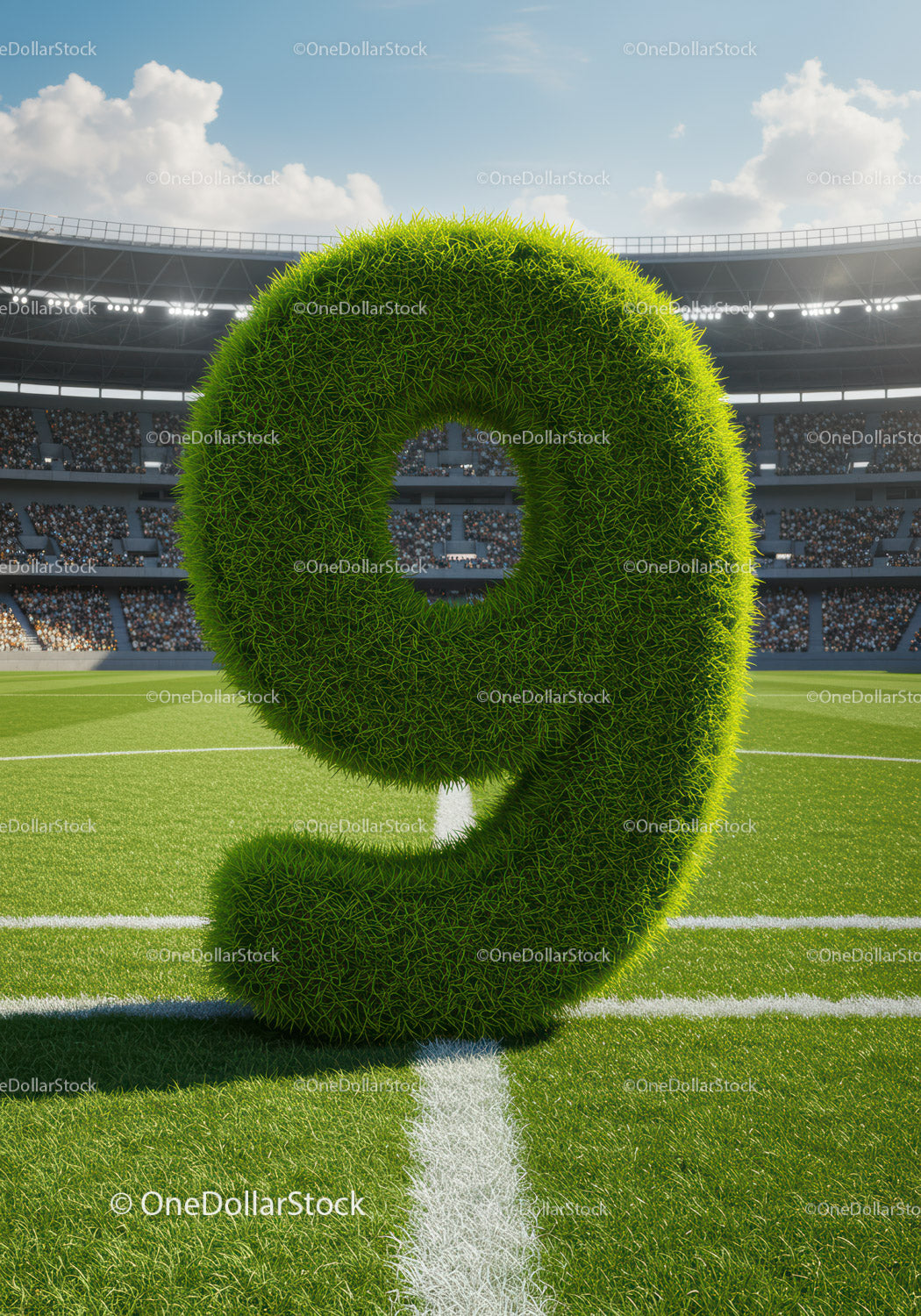 Green Grass Number Nine on Football Field