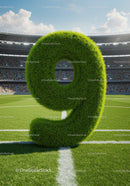 Green Grass Number Nine on Football Field