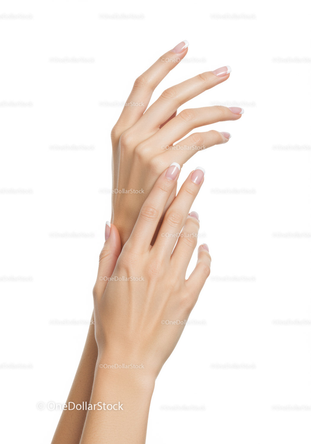 Delikatne kobiece dłonie z klasycznym francuskim manicure