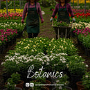 Botanics Lightroom presets cover preview