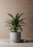 Elegant Green Foliage Plant in Modern Gray Pot for Interior Decor