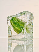 Fresh cucumber slice frozen inside ice cube
