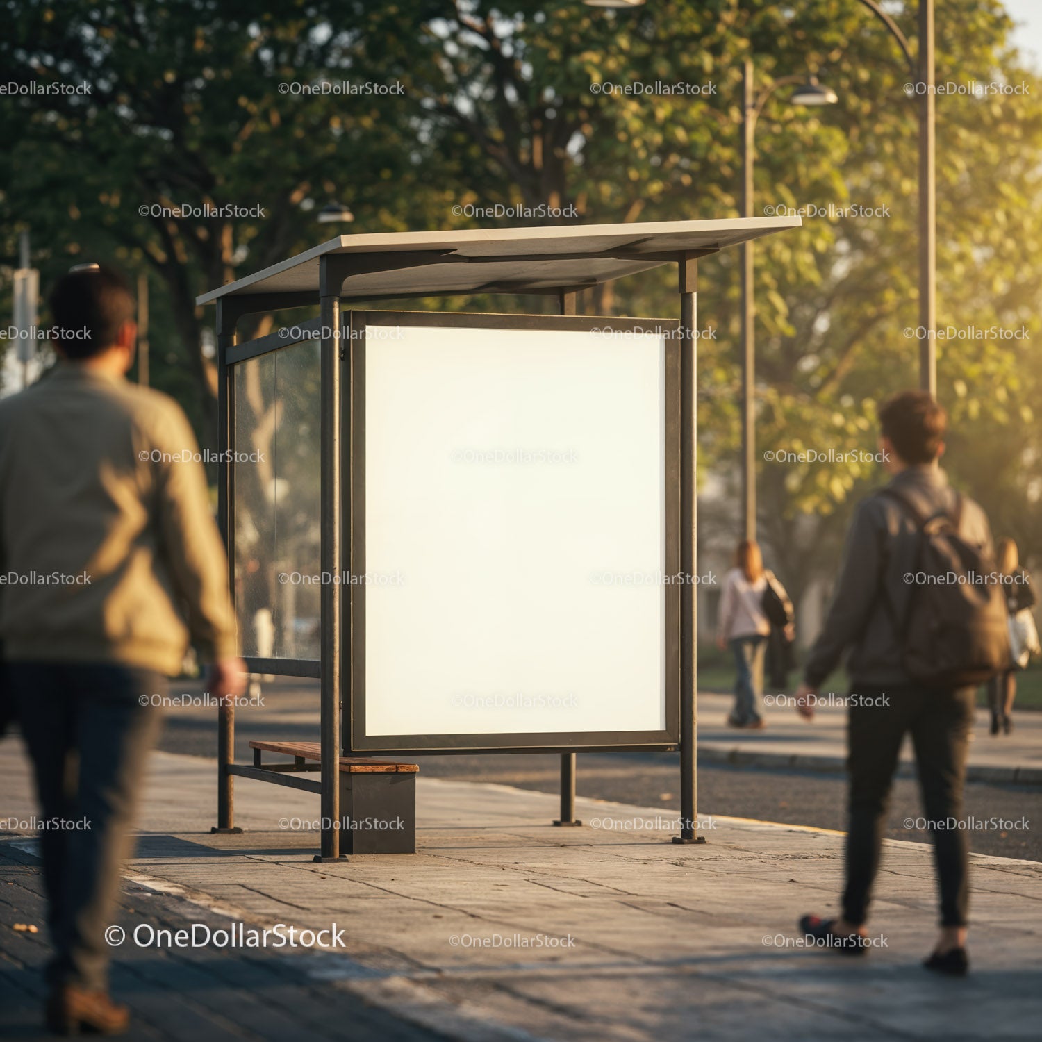 Urban bus stop with blank billboard at golden hour