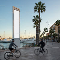 Cyclists Passing by Yacht Harbor and Palm Trees at Sunset