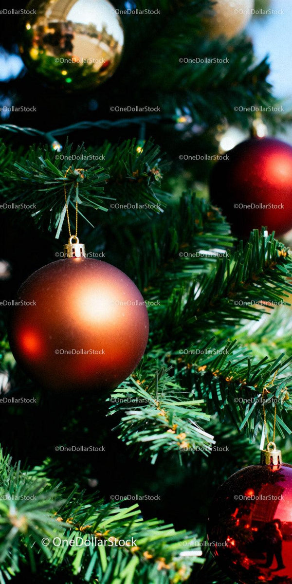 Close up of Christmas ornaments hanging on green pine tree