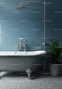 Classic freestanding bathtub with modern shower setup