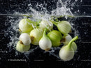 Fresh White and Green Onions in Water with Splash Effect