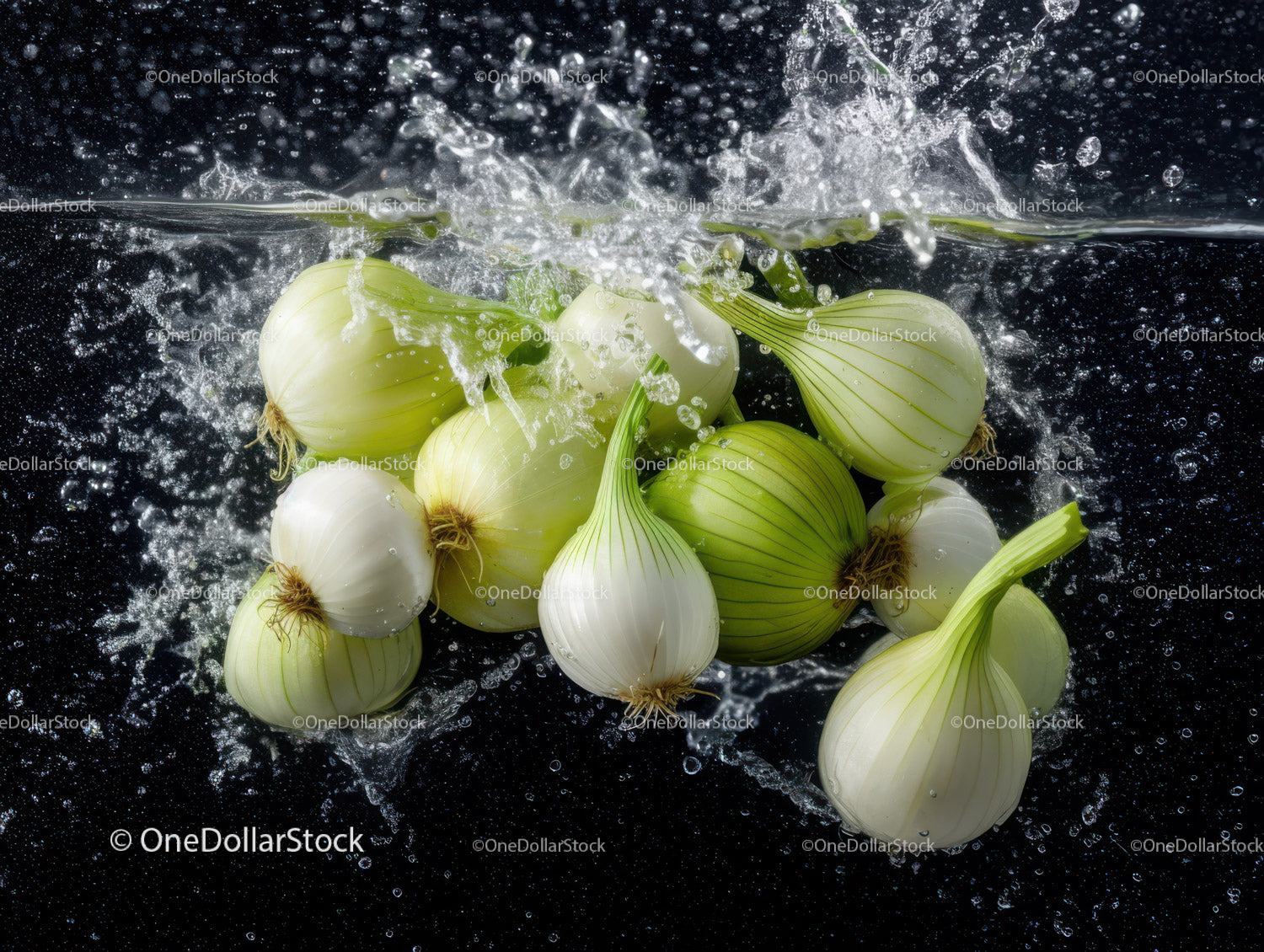 Fresh White and Green Onions in Water with Splash Effect