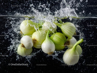 Fresh White and Green Onions in Water with Splash Effect