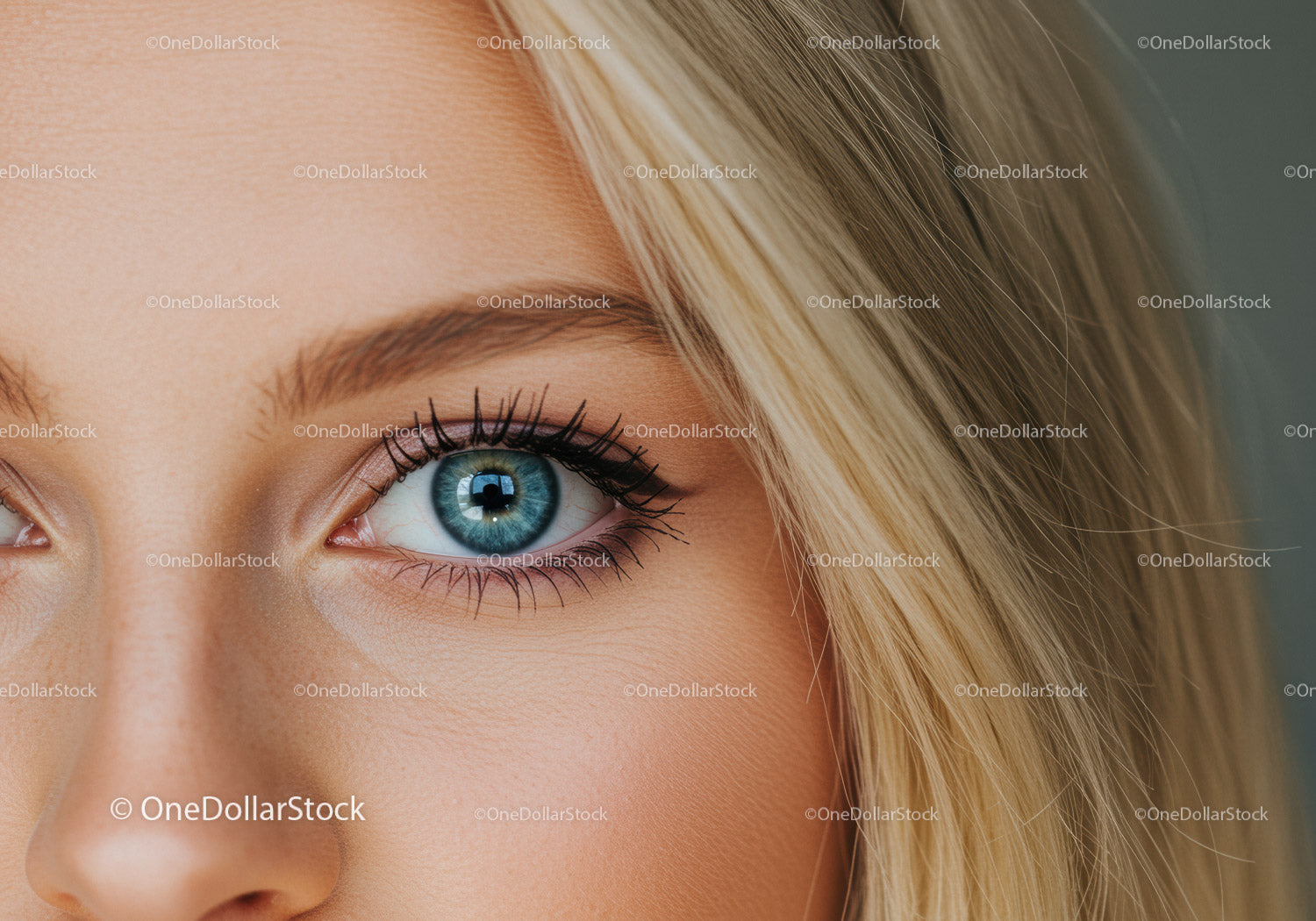 Close up of blue eye and blonde hair detail