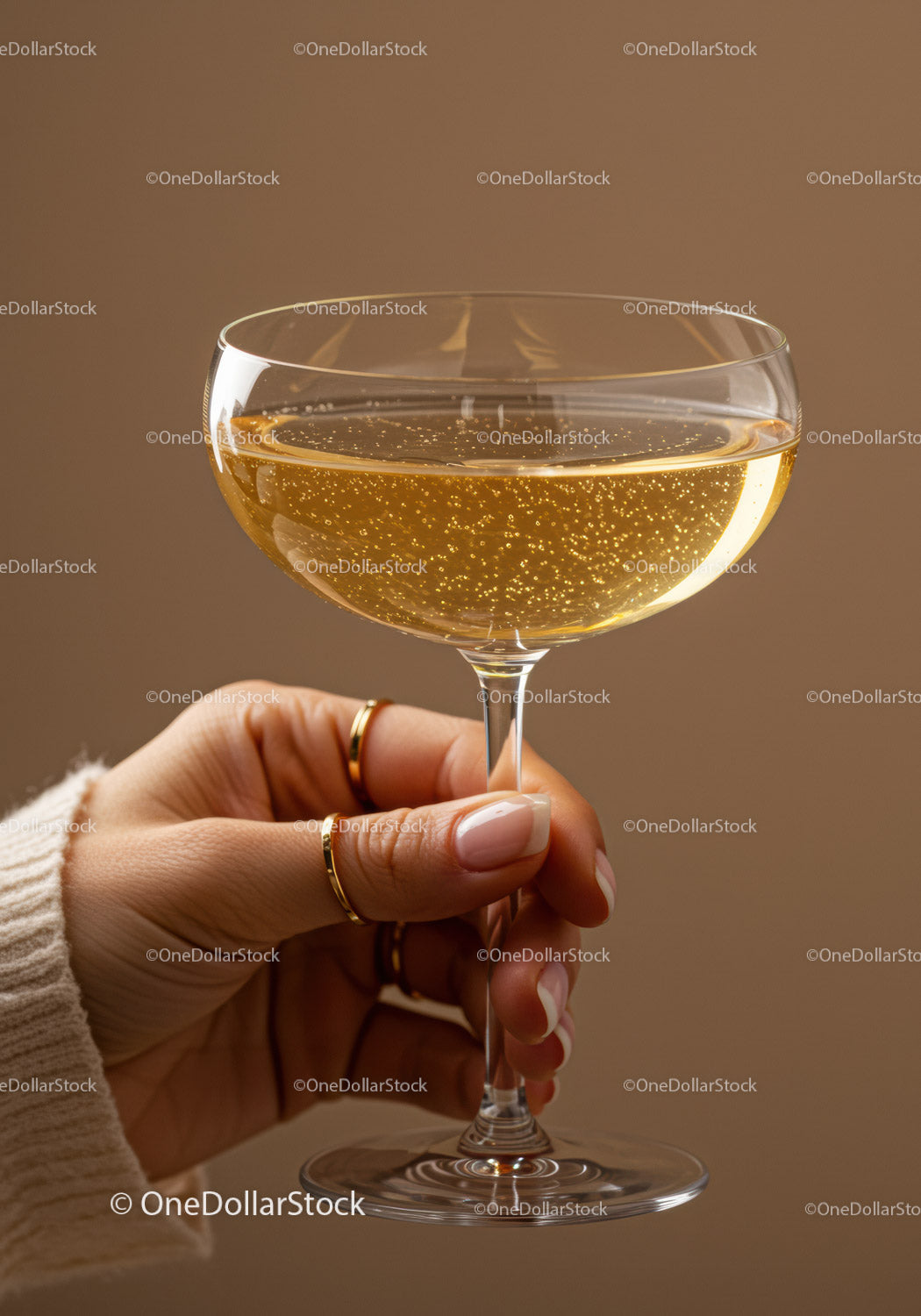 Woman Holding Elegant Glass of Sparkling Champagne