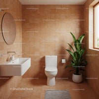 Modern Bathroom with Terracotta Tiles and Lush Green Plant