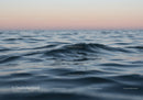 Calm Ocean Waves at Sunset with Pastel Sky