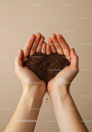 Hands Gently Holding Loose Coffee Granules
