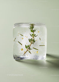 Fresh Herb Preserved in a Clear Ice Cube