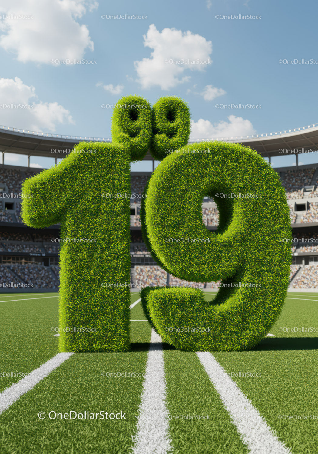 Green Grass Numbers Twenty Nine on Football Field