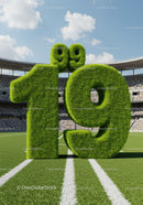 Green Grass Numbers Twenty Nine on Football Field