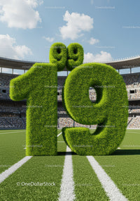Green Grass Numbers Twenty Nine on Football Field