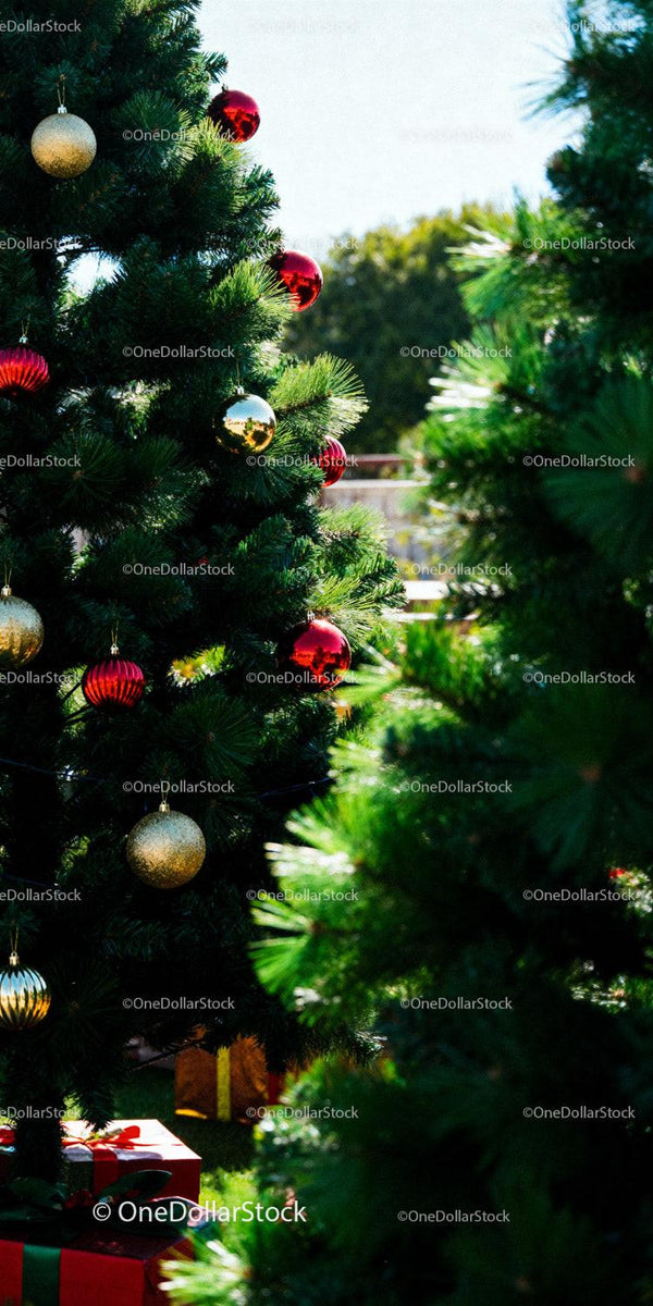 Christmas tree with red and gold ornaments outdoors