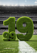 Grass numbers marking 9.19 on vibrant football field