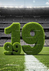 Grass numbers marking 9.19 on vibrant football field