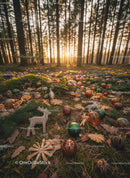 Sunset in forest with scattered Christmas decorations