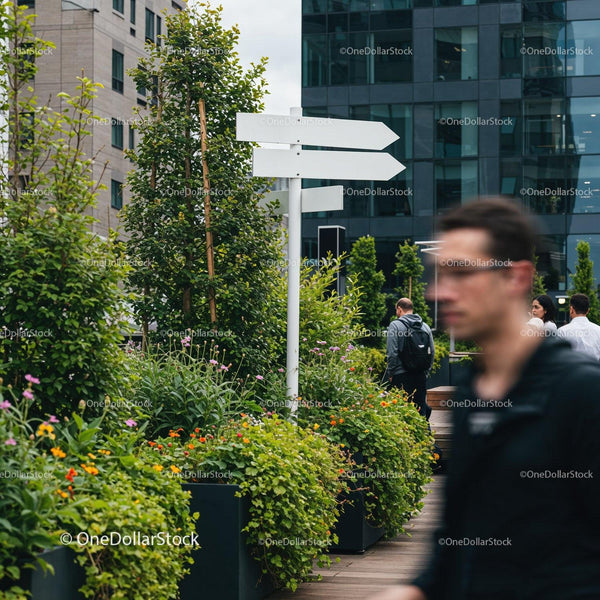 Urban garden walkway with blank directional signs and pedestrians JPG Mockup Image