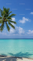 Tropical Beach with Palm Tree and Clear Turquoise Ocean Under Blue Sky