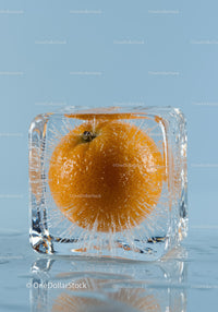 Fresh Orange Encased Inside a Clear Ice Cube