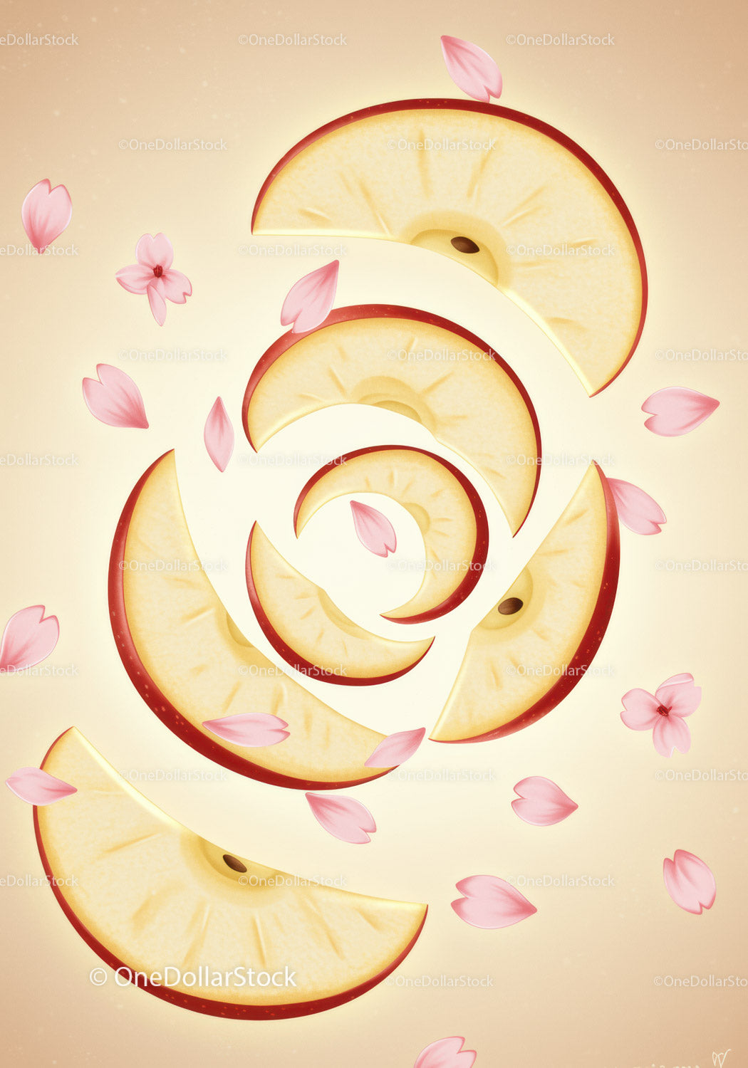 Red apple slices spiraling with floating pink petals