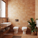 Modern Bathroom with Terracotta Tiles and Green Plant