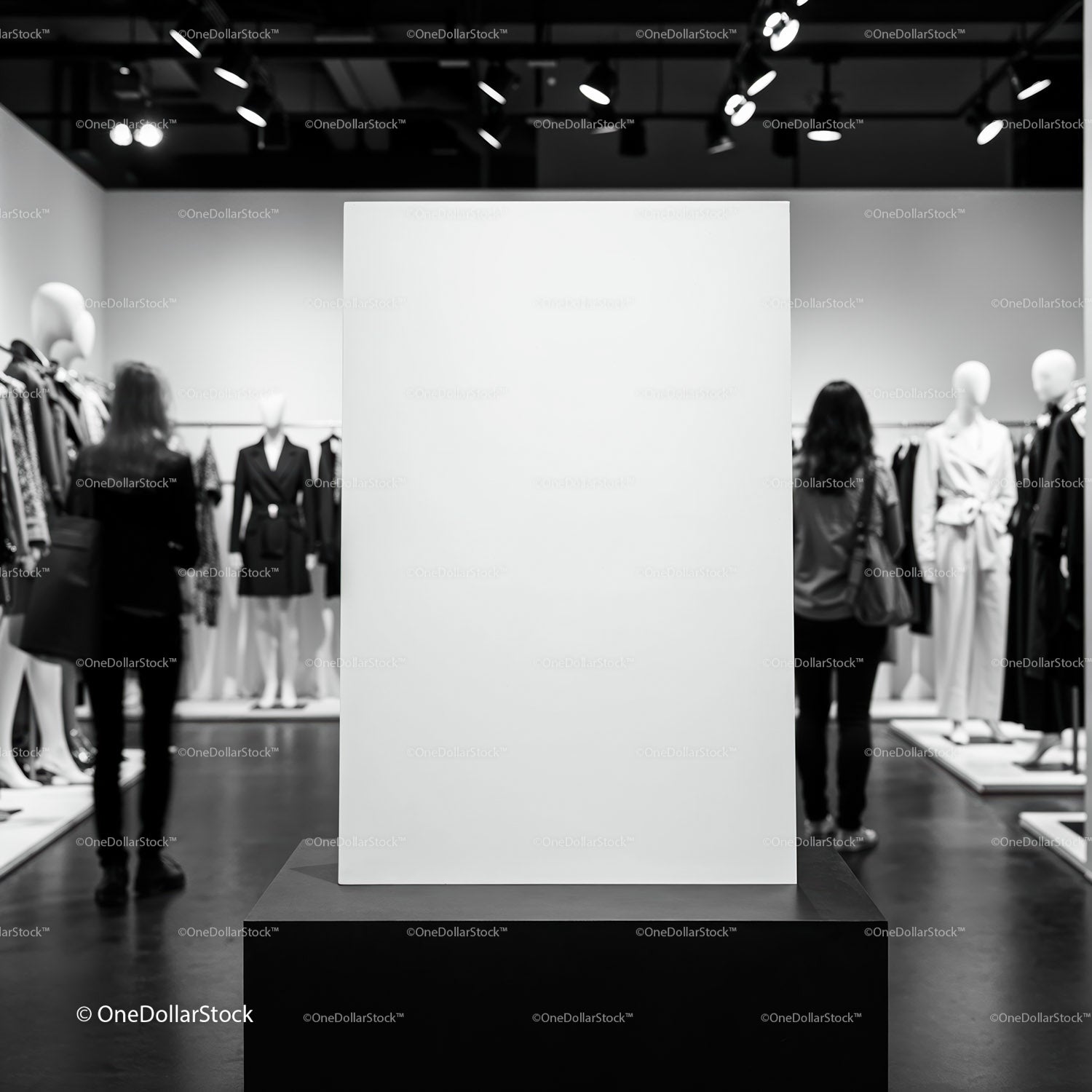 Blank Canvas Display in Modern Fashion Boutique