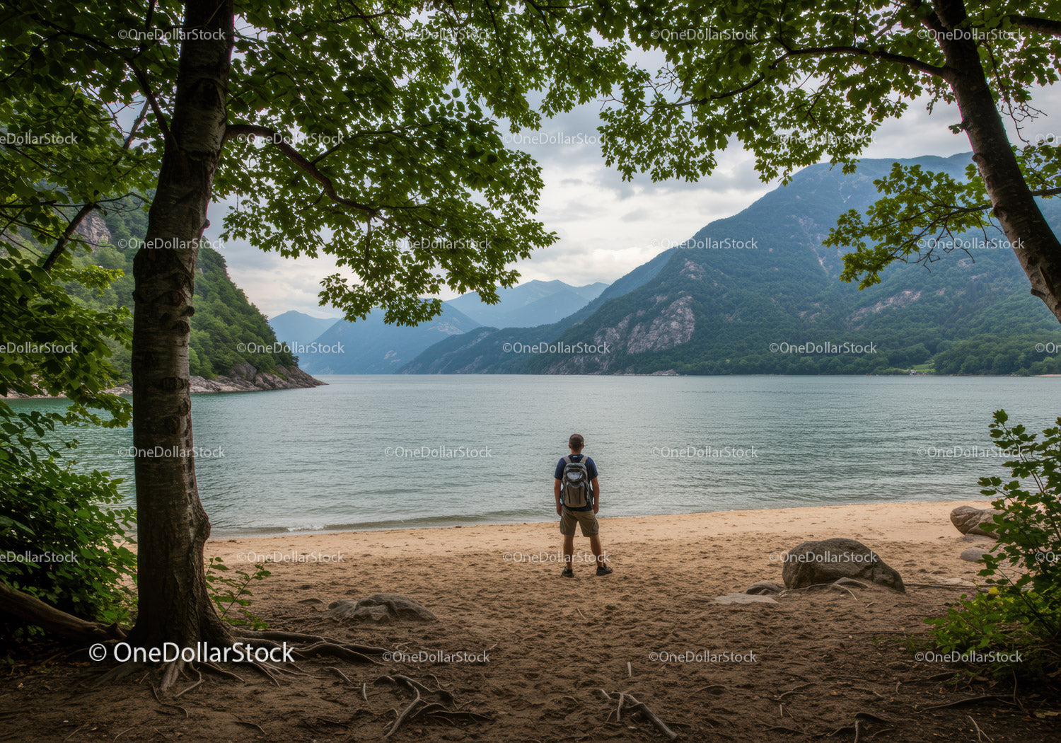 Scenic Mountain Lake with Forested Hills and Sandy Shore