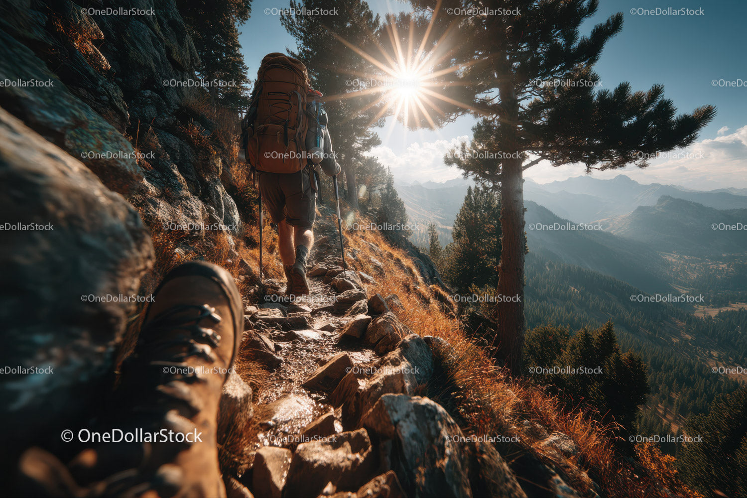 Hiker Trekking Mountain Trail in Sunny Alpine Landscape