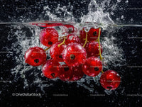 Fresh Red Currants Splashing in Water Artistic Fruit Photography