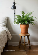 Lush Fern in Terracotta Pot on Wooden Stool in Cozy Bedroom