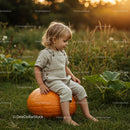 Toddler Sitting on Large Pumpkin in Autumn Field