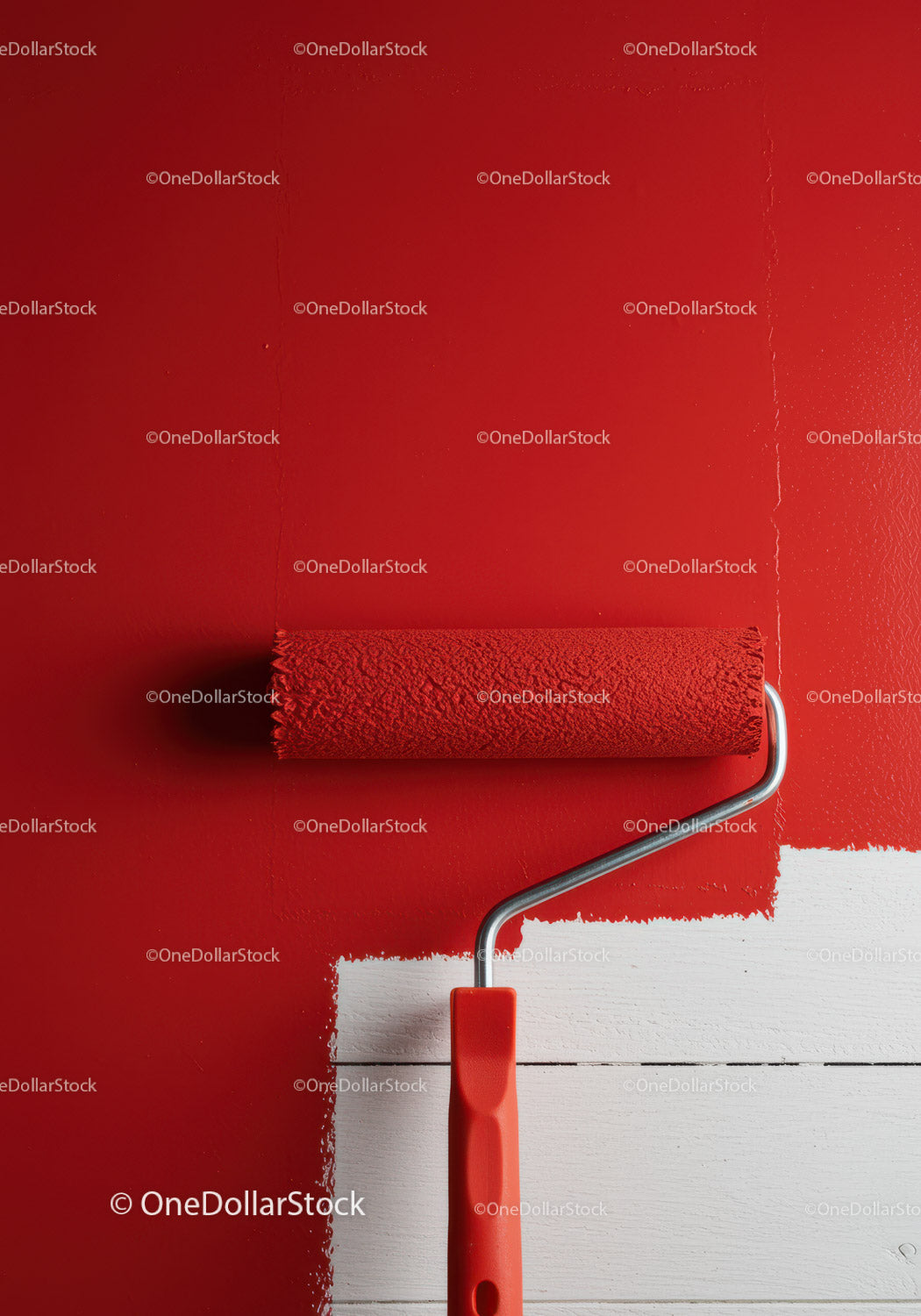 Red Paint Application with Roller on Interior Wall for Home Renovation