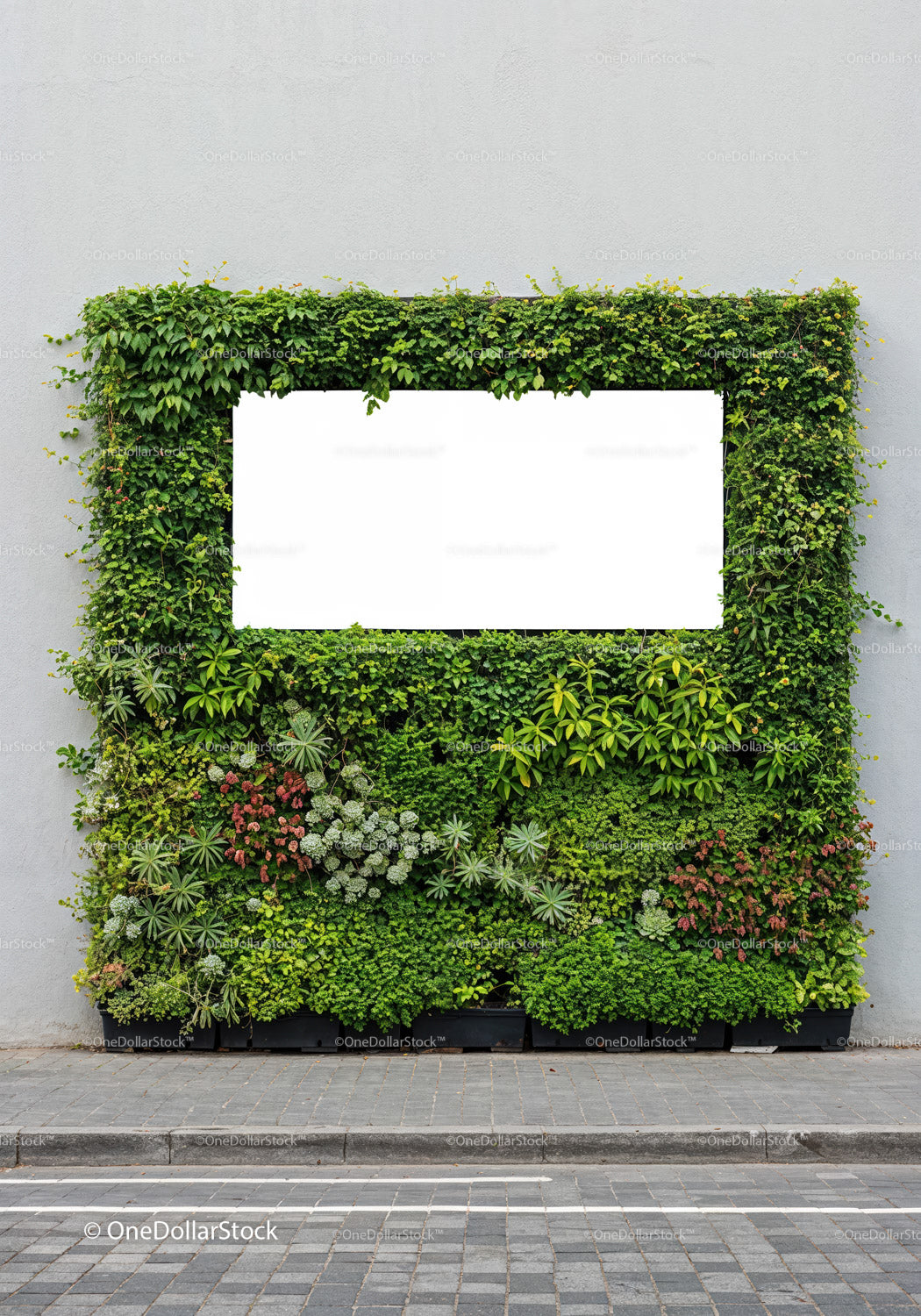Green vertical garden with blank rectangular display