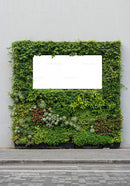 Green vertical garden with blank rectangular display