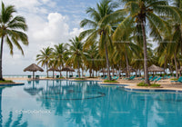 Tropical Palm Trees and Inviting Poolside Lounge Chairs at Beach Resort