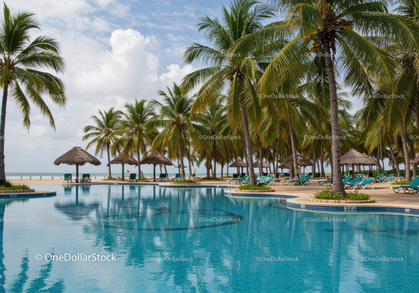 Tropical Palm Trees and Inviting Poolside Lounge Chairs at Beach Resort